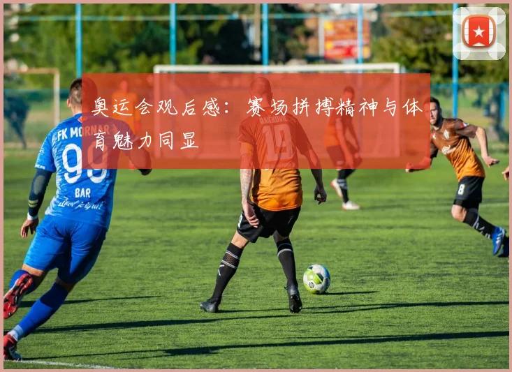 奥运会观后感:赛场拼搏精神与体育魅力同显