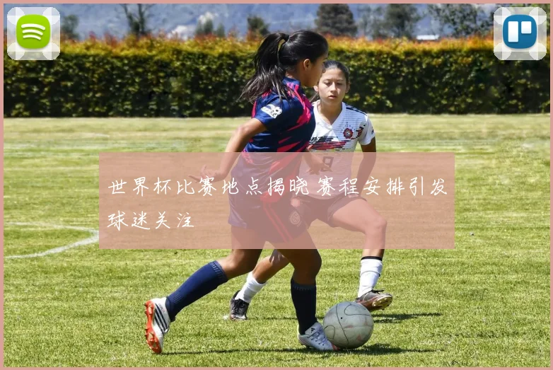 世界杯比赛地点揭晓 赛程安排引发球迷关注