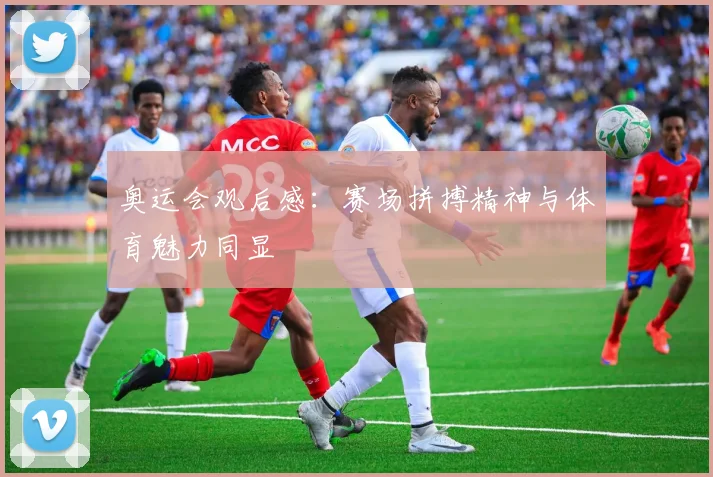 奥运会观后感:赛场拼搏精神与体育魅力同显