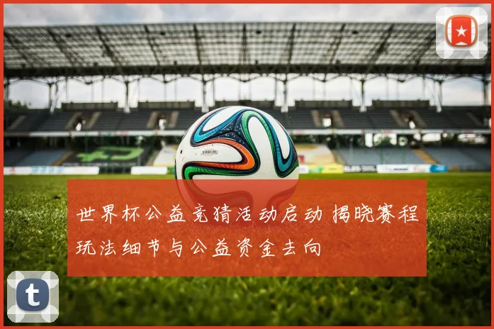 世界杯公益竞猜活动启动 揭晓赛程玩法细节与公益资金去向