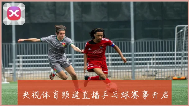 央视体育频道直播乒乓球赛事开启 球迷线观看热度持续上升