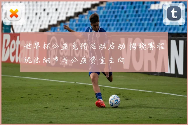 世界杯公益竞猜活动启动 揭晓赛程玩法细节与公益资金去向