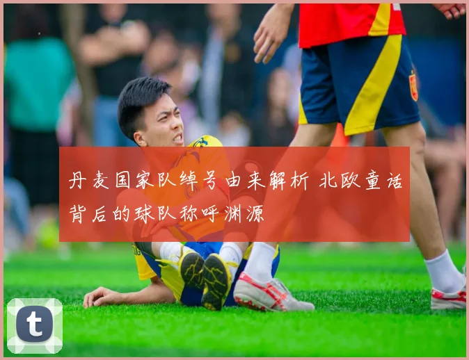 丹麦国家队绰号由来解析 北欧童话背后的球队称呼渊源