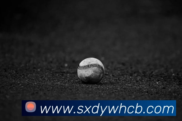 开云手机入口官方网站服务体系