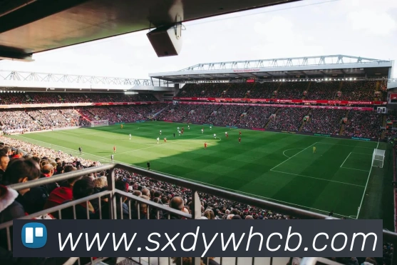 多媒体互动体验